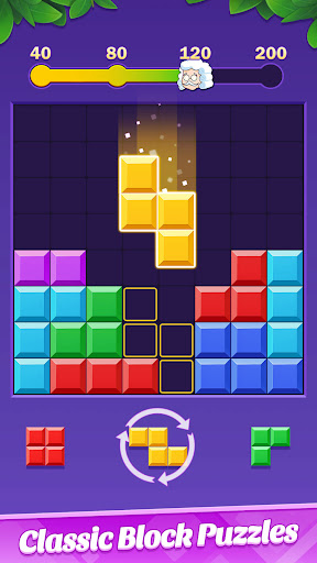 Block Puzzle: Stack Infinity